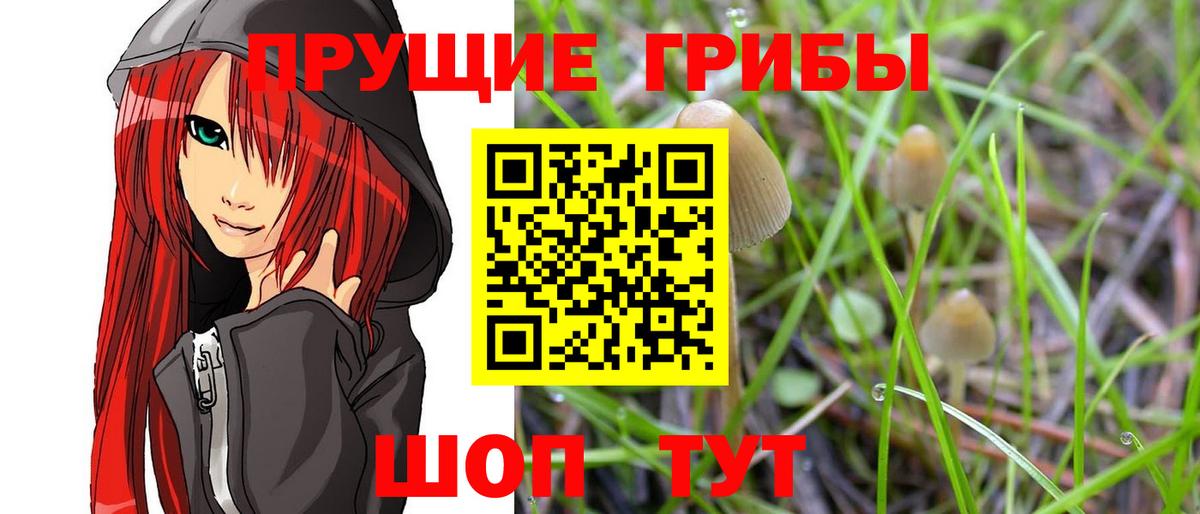 наркошоп  Галлюциногенные грибы Magic Shrooms  Вход с VPN  Южно-Сахалинск 